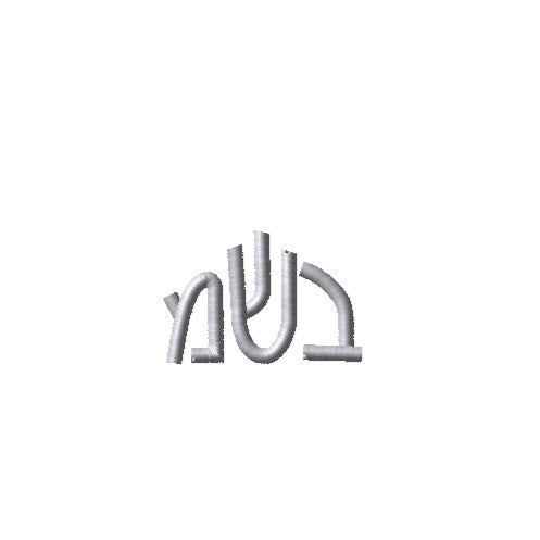 Please Add Embroidery To The Sweater - Bais Shifra Miriam HS Monsey