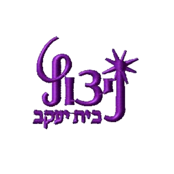 Nitzotz bais yaakov 12th grade logo